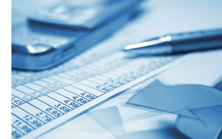 Cost Advisors. Fraud Investigation